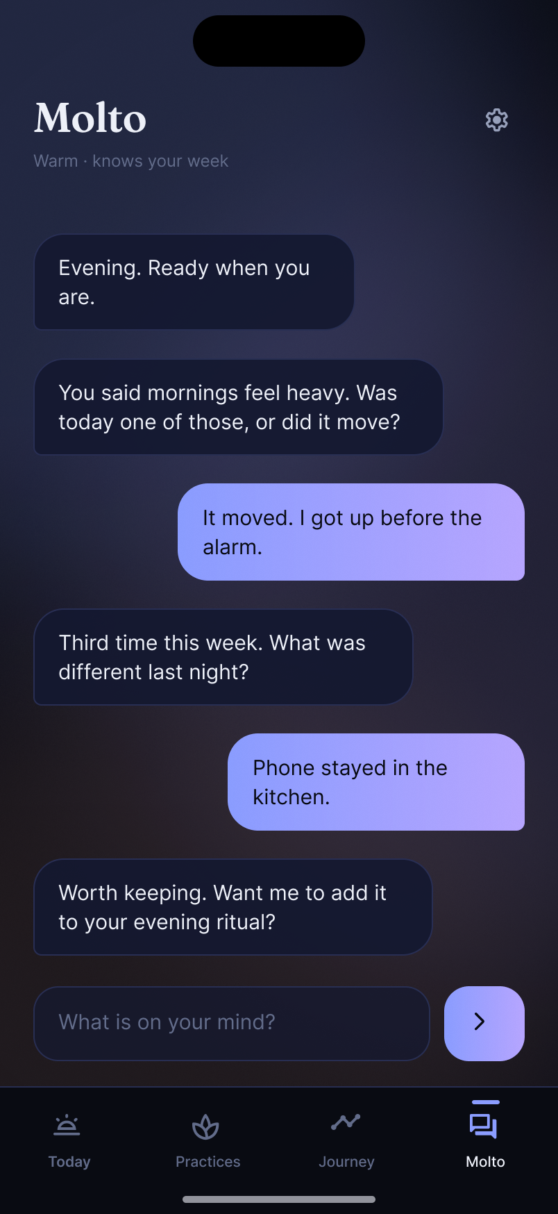 Molto companion chat: a warm conversation that remembers heavy mornings and suggests keeping the phone in the kitchen